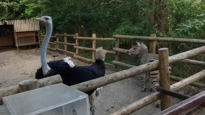 ビュンッ 