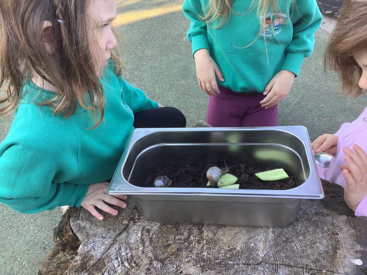 St Bernadette’s ELC Class tweet media