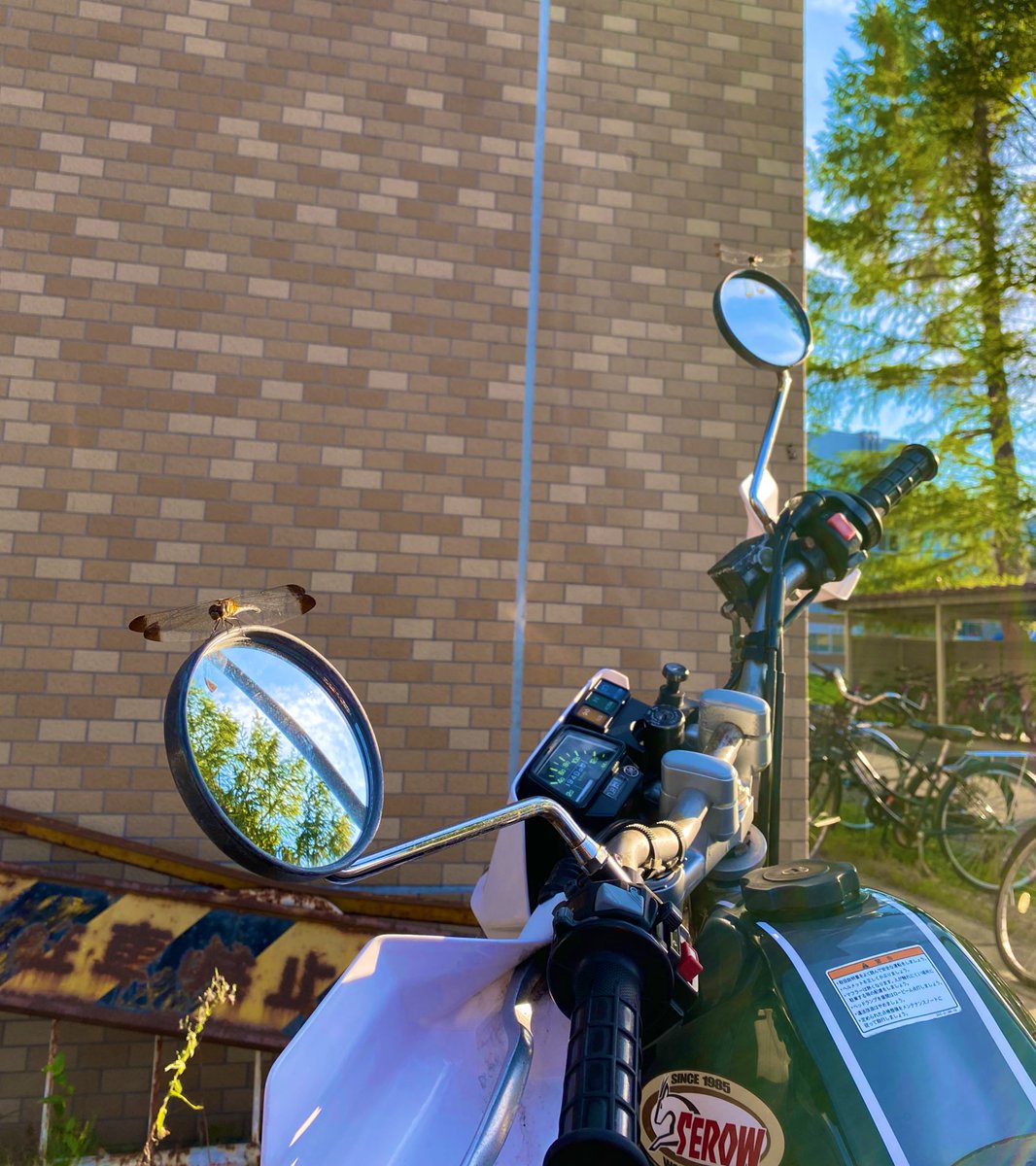 とんぼ2匹
セロー居心地良いんか