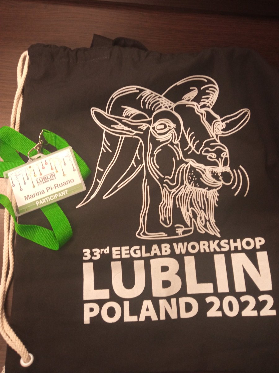 pi_ruano's tweet image. Intense learning and really interesting discussions in the #33EEGLABworkshop #eeglab