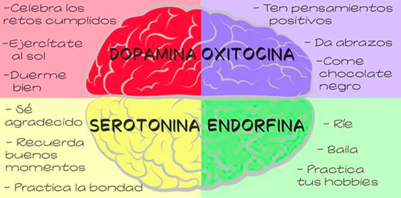 Serotonina en cetosis