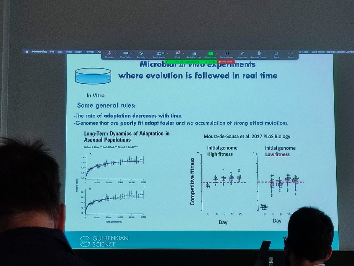 MarcoMauri81's tweet photo. Isabel Gordo presenting "The tempo and mode of evolution of a strain in the mammalian gut microbiota" showing that the colonization success of a new invader E. coli strain in mouse gut depends (also) on the microbiota diversity #MathModellingMicrobiomes https://t.co/kGfFCwyCjT