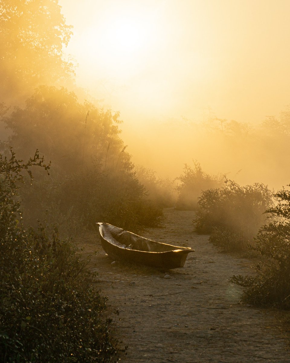 Ina 💎 Limited Edition tweet media