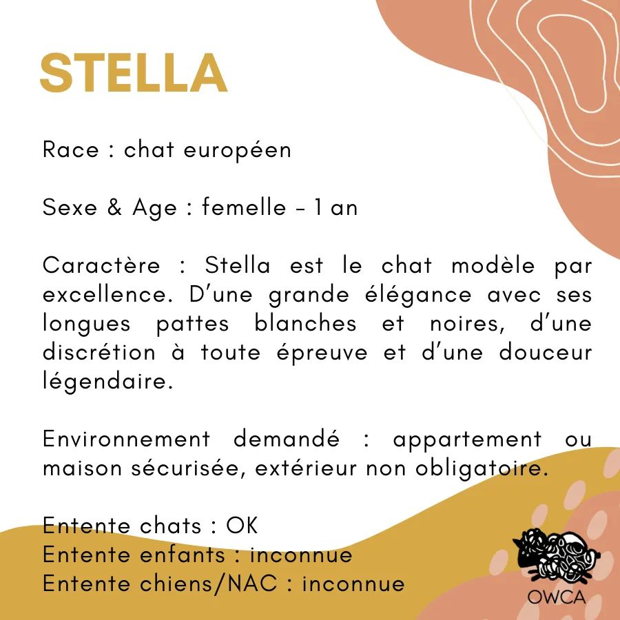 Association Owca tweet media