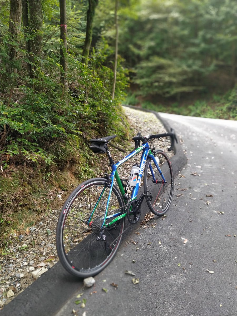 Superaton86 tweet media