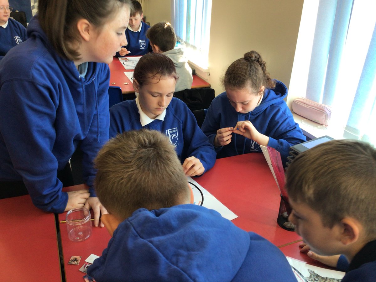 whitdale_ps's tweet photo. P7c had a visit from the SSPCA today. We took part in activities to help us learn about animal welfare. #AnimalWise https://t.co/vSNmrN03up