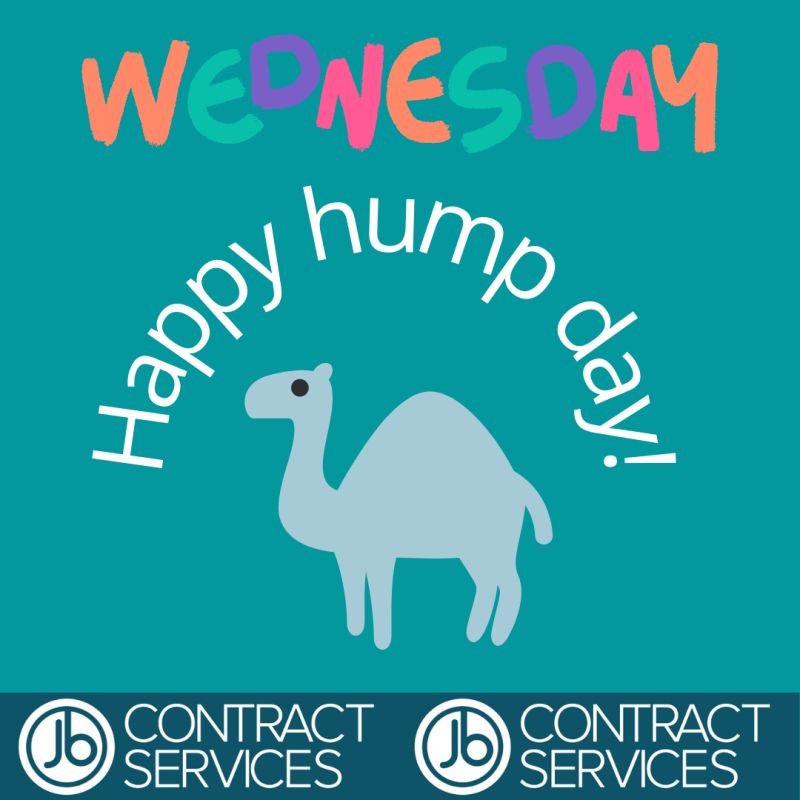 Happy hump day!

We hope everyone's having a lovely week!

Don't forget to give us a call to register and keep up to date with our latest vacancies!

0191 337 1567

#recruitment #agency #recruitmentagency #jobsinconstruction #wednesday #happyhumpday
