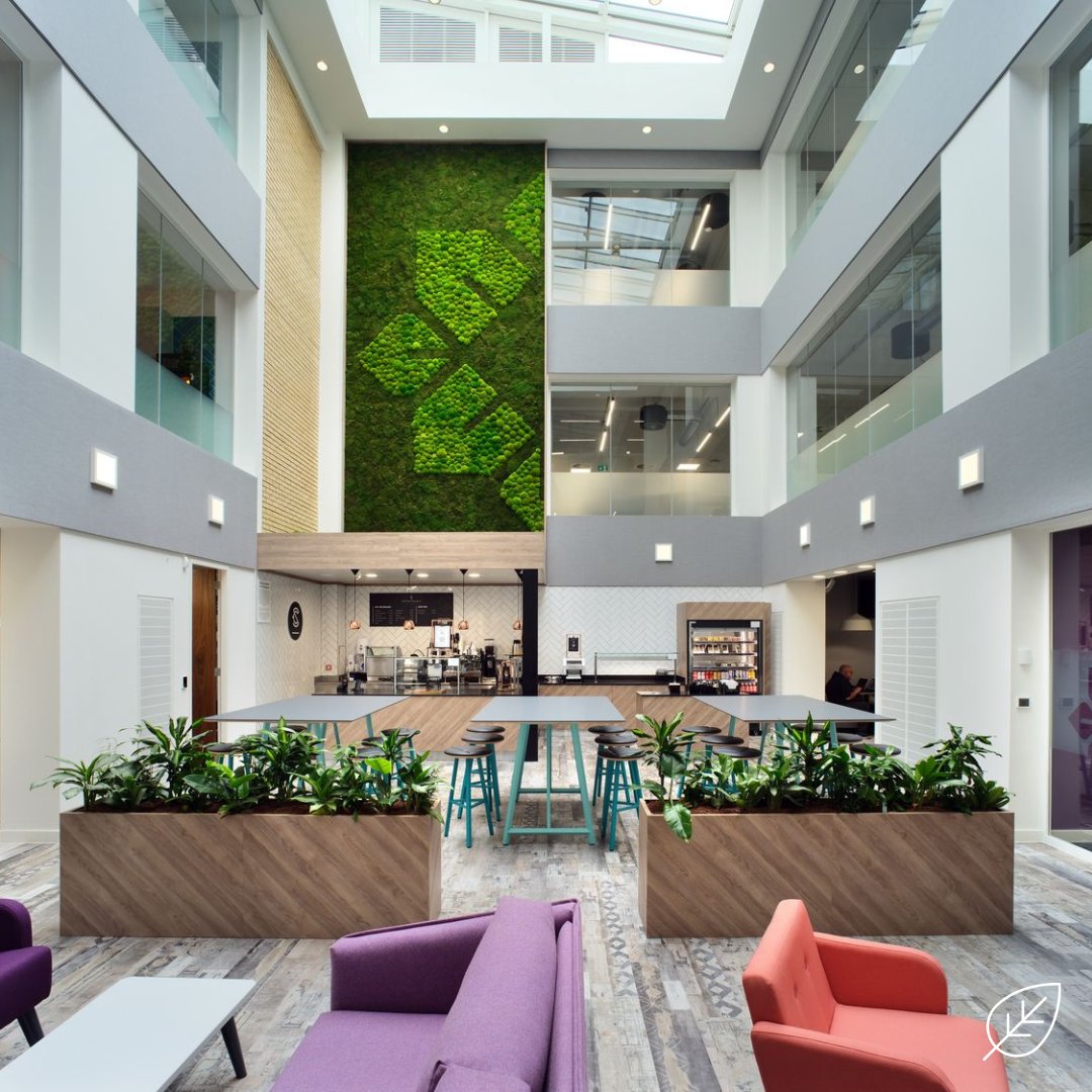 How can you draw the attention of others? Make a statement, make it big, make it a bespoke moss wall 🟩🌿🌴

#Officedesign #Officeplanting #Interiordesign #Biophilia #Plantingdesign