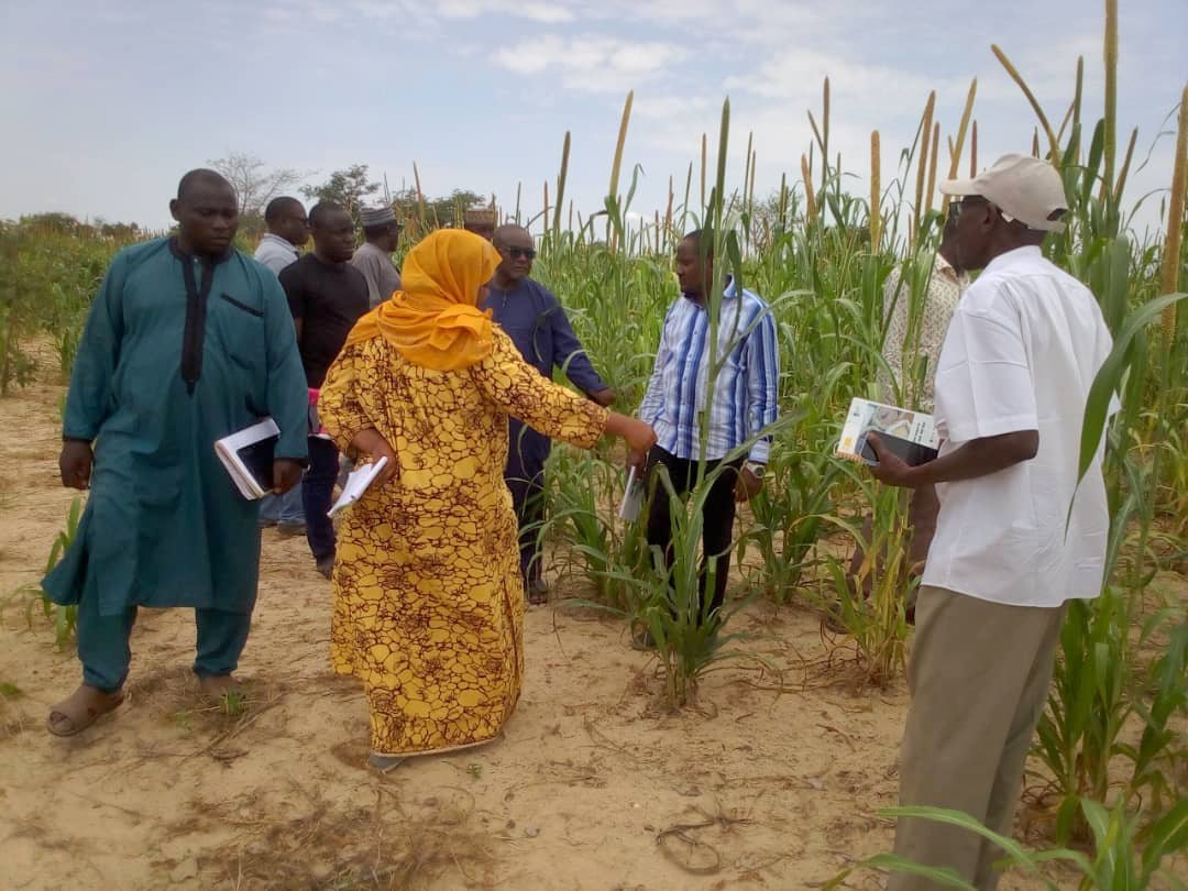 ISSD-Sahel tweet media