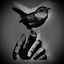 VaguesThought's tweet photo. Hate-Love-Sad-Joy. Protection is keeping it safe but doesn’t meant its your. Let it go. https://t.co/8OA2fPdjzf