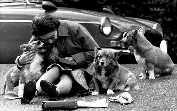 Morning all x. Wanted to share one of my favourite photos of The Queen with you all, as she sets off from Buckingham Palace to Westminster today x