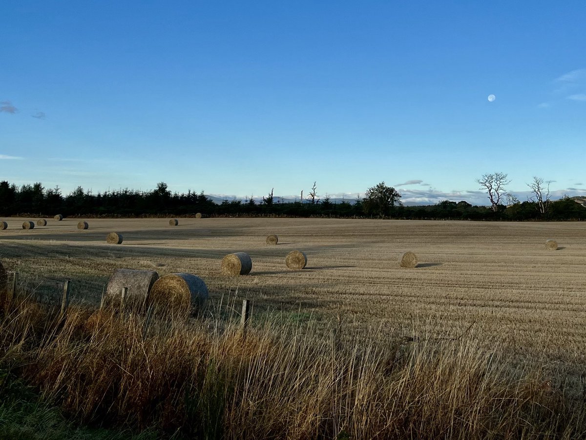 Joe Pierce tweet media