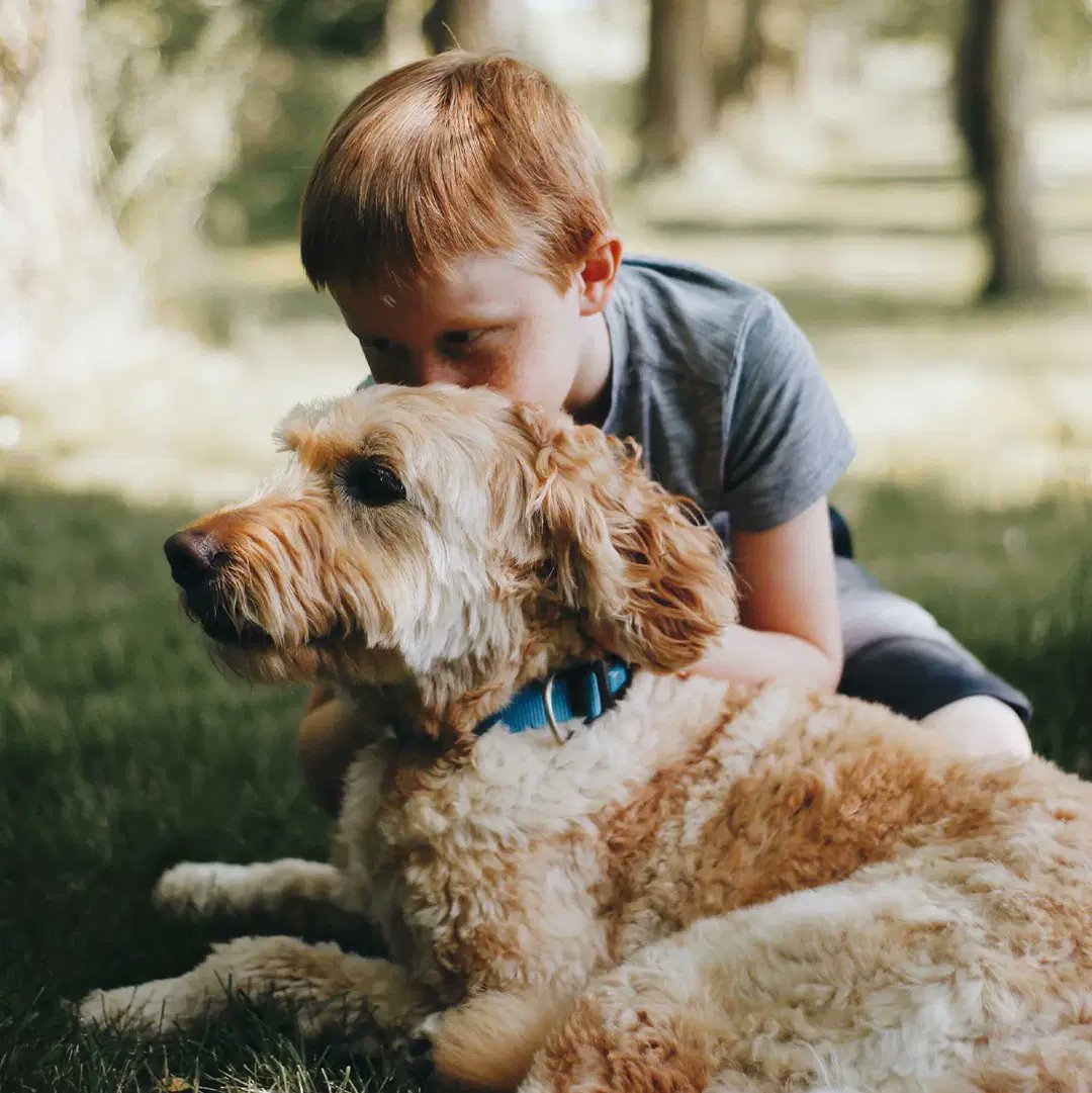 Troublesome behaviour doesn’t always indicate separation anxiety but when it does, it is important to take steps to help your dog overcome their stress.
Read more at wildatheartfoundation.org/understanding-… to ensure you’re aware of the signs and methods for treating separation anxiety.