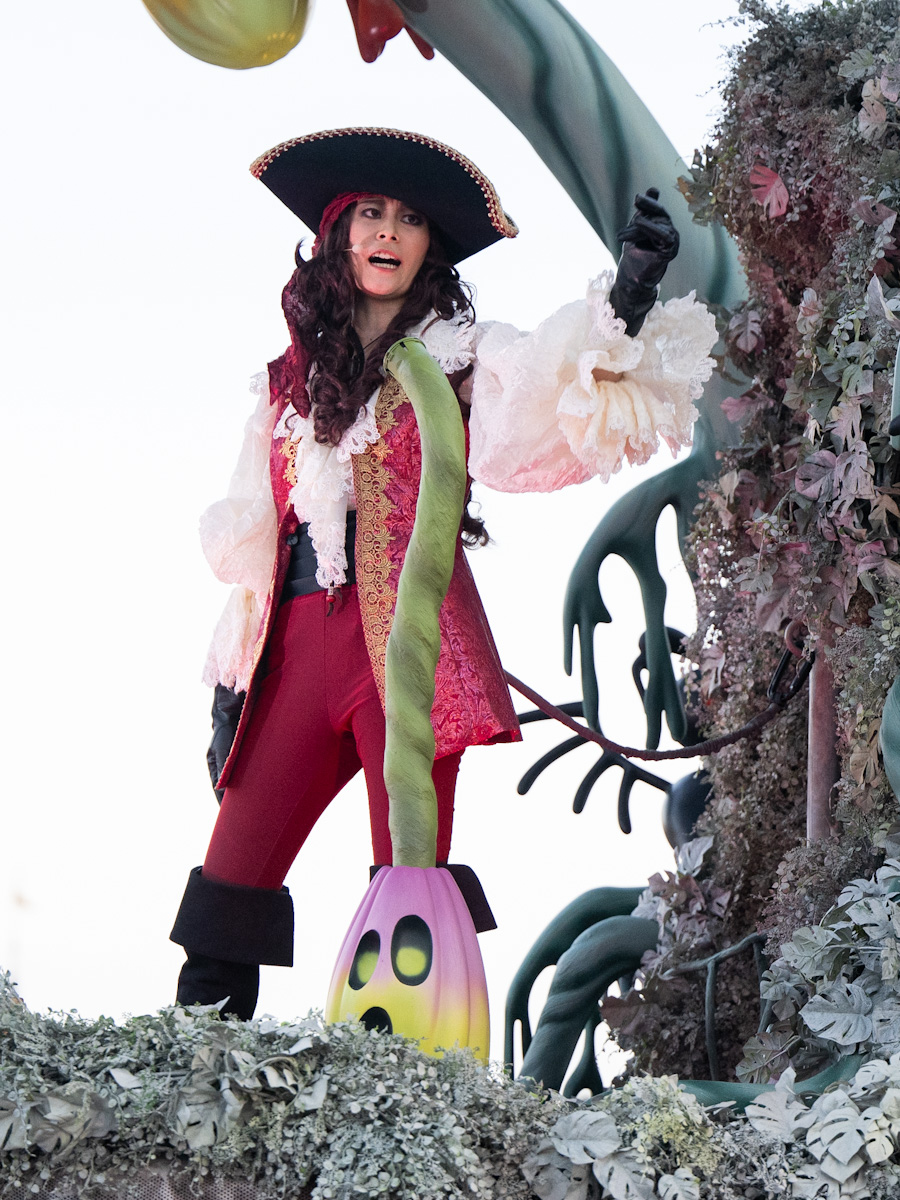 ディズニー ヴィランズの手下 ホック 仮装 コスプレ衣装 ディズニー ヴィランズの手下 ホック 仮装 コスプレ衣装