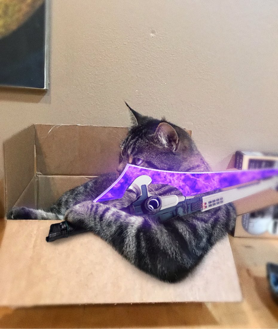 oddmb_'s tweet photo. editing the other half to cat pics everyday until I forget #5 https://t.co/iVZVh6fbiF