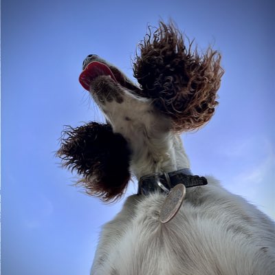 chump_dog's tweet photo. #NewProfilePic https://t.co/dQ9yZMZXFI