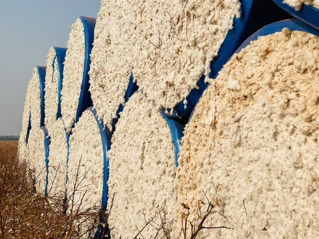 em_ayliffe's tweet photo. A day on the farm with the #TechAgro team on one of the biggest cotton producers farms. 2200mm rainfall and all Dryland. The scale of production is mind boggling. @summitagconsult @HeathMcwhirter #BetterFlex https://t.co/gcx2LCfqKO
