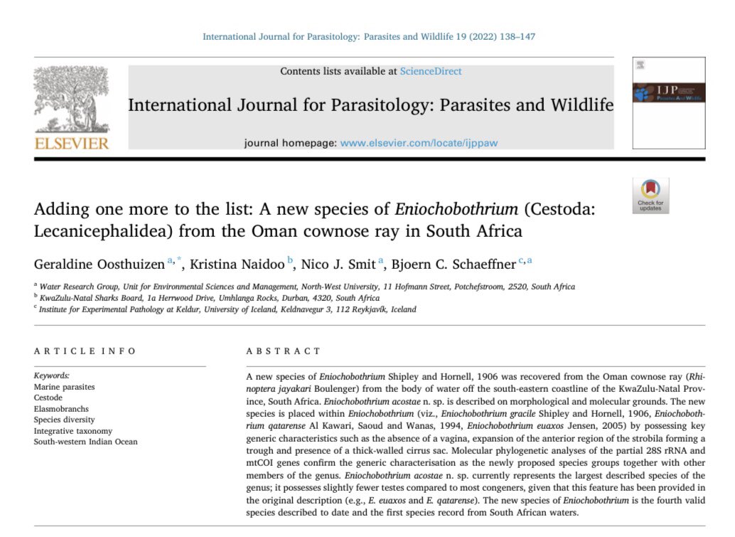 GeraldineOosth's tweet photo. Worldwide only three species are known, and we used both morphological and molecular tools to describe the fourth species. https://t.co/sSD2XlSAsF