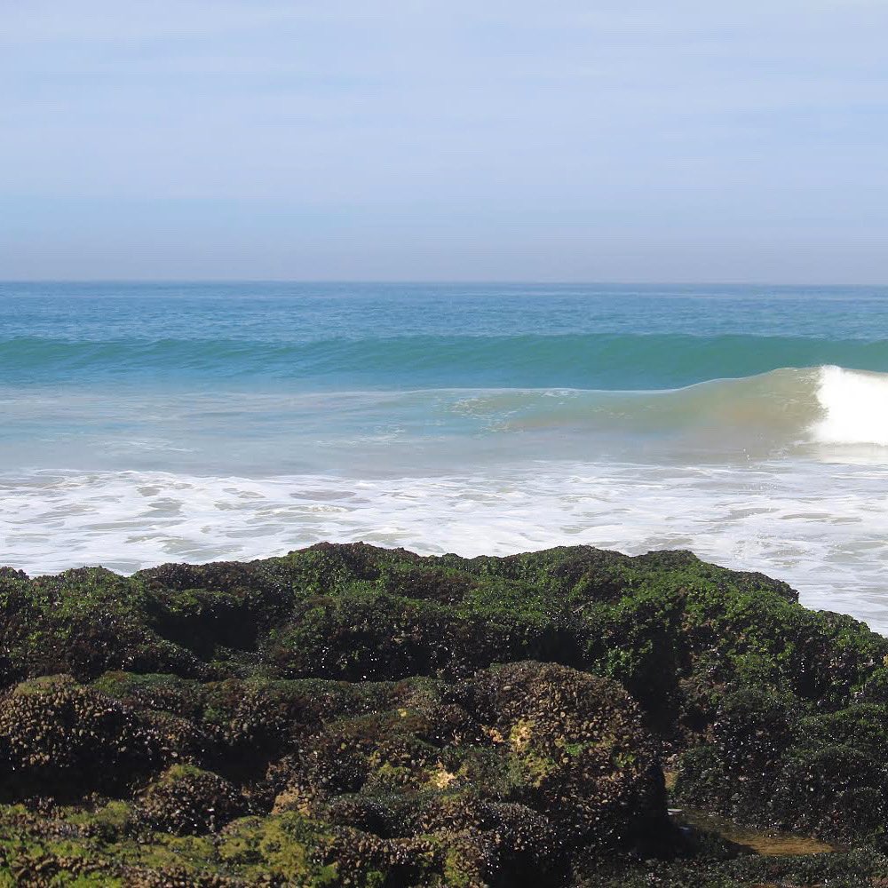 ShakaSurfMoroc's tweet photo. September Sessions

#morocco #oceancalling #salty #surf #surfing #surfsessions  #surfspot #postsummerswell #winterescape #winterloading https://t.co/RTXs7EHsU8