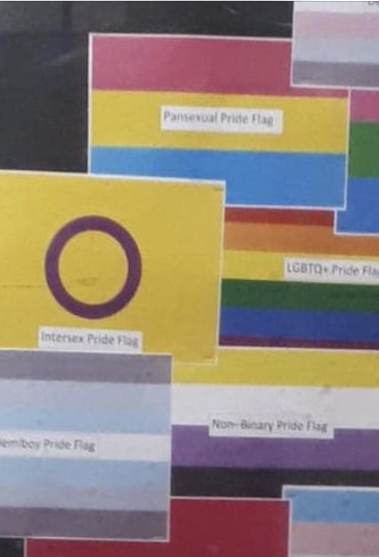 SafeSchools_UK's tweet photo. The complaints are coming in thick & fast with the new school term. 11 year olds are being encouraged to Google ‘polysexual’ & other terms at this school. This is political indoctrination & a #safeguardingfail. #CheckYourSchool - you may be very surprised at what you find. #LGBT https://t.co/IiYzFDx2VI