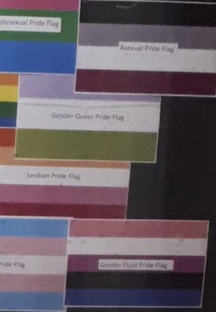 SafeSchools_UK's tweet photo. The complaints are coming in thick & fast with the new school term. 11 year olds are being encouraged to Google ‘polysexual’ & other terms at this school. This is political indoctrination & a #safeguardingfail. #CheckYourSchool - you may be very surprised at what you find. #LGBT https://t.co/IiYzFDx2VI