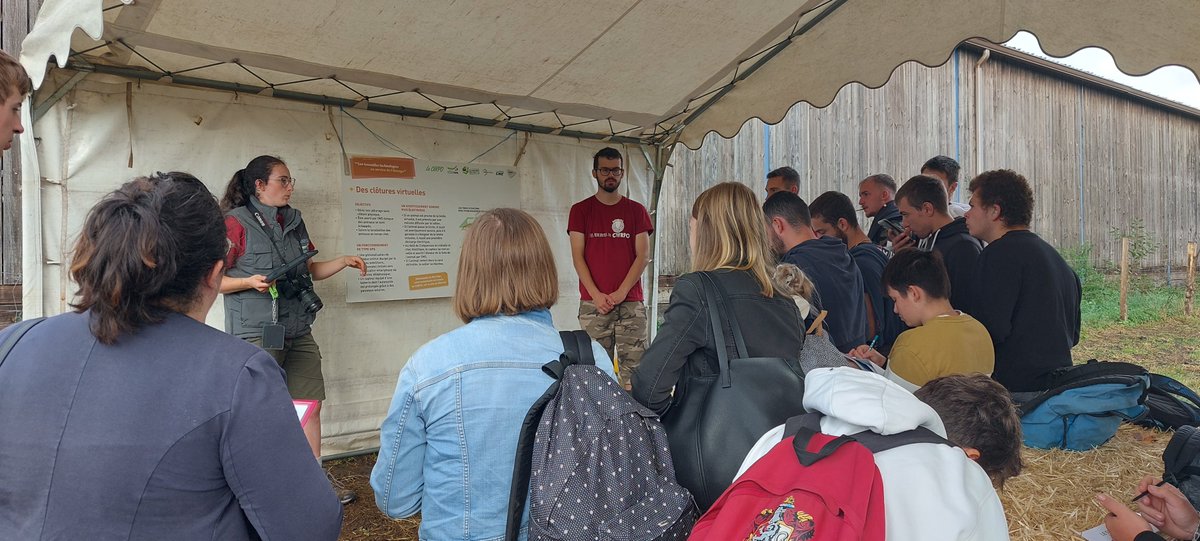 Tech-Ovin tweet media