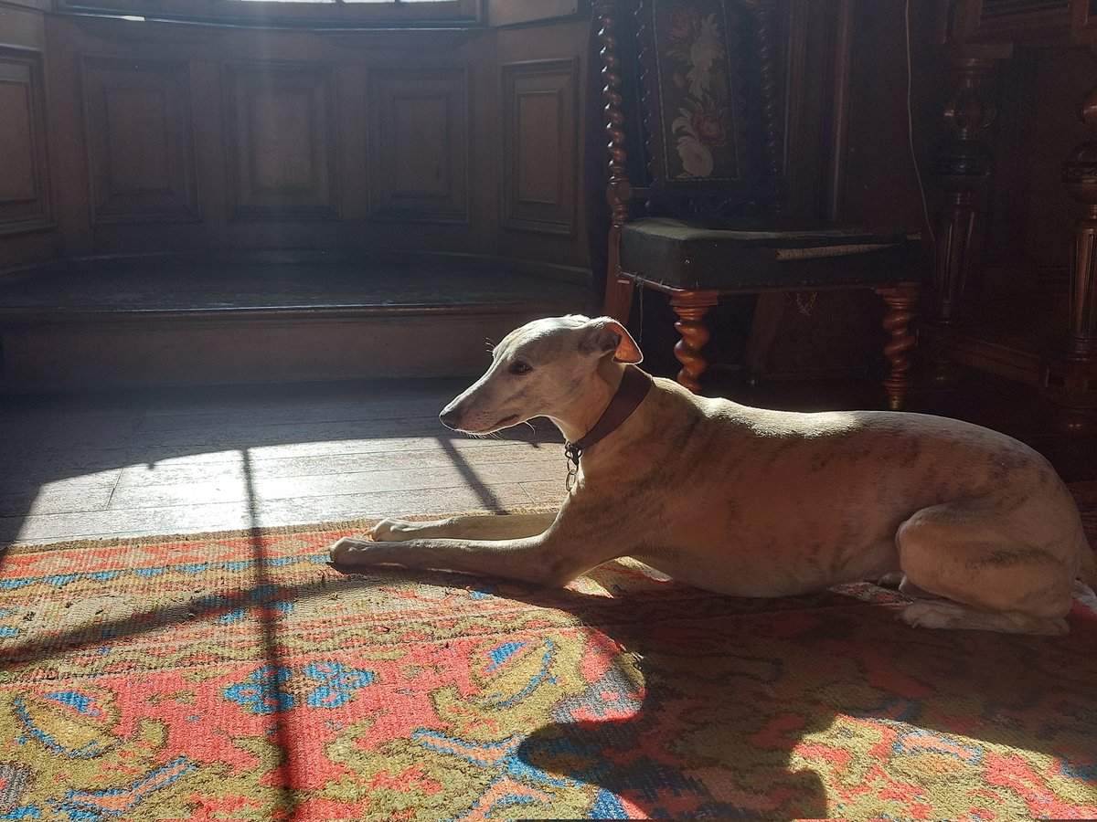 McinallyJordan's tweet photo. Had a fab time exploring @Hospitalfield and getting to know some lovely researchers as part of the latest @sgsah writing retreat ✍️ https://t.co/vrF9Ya20pT