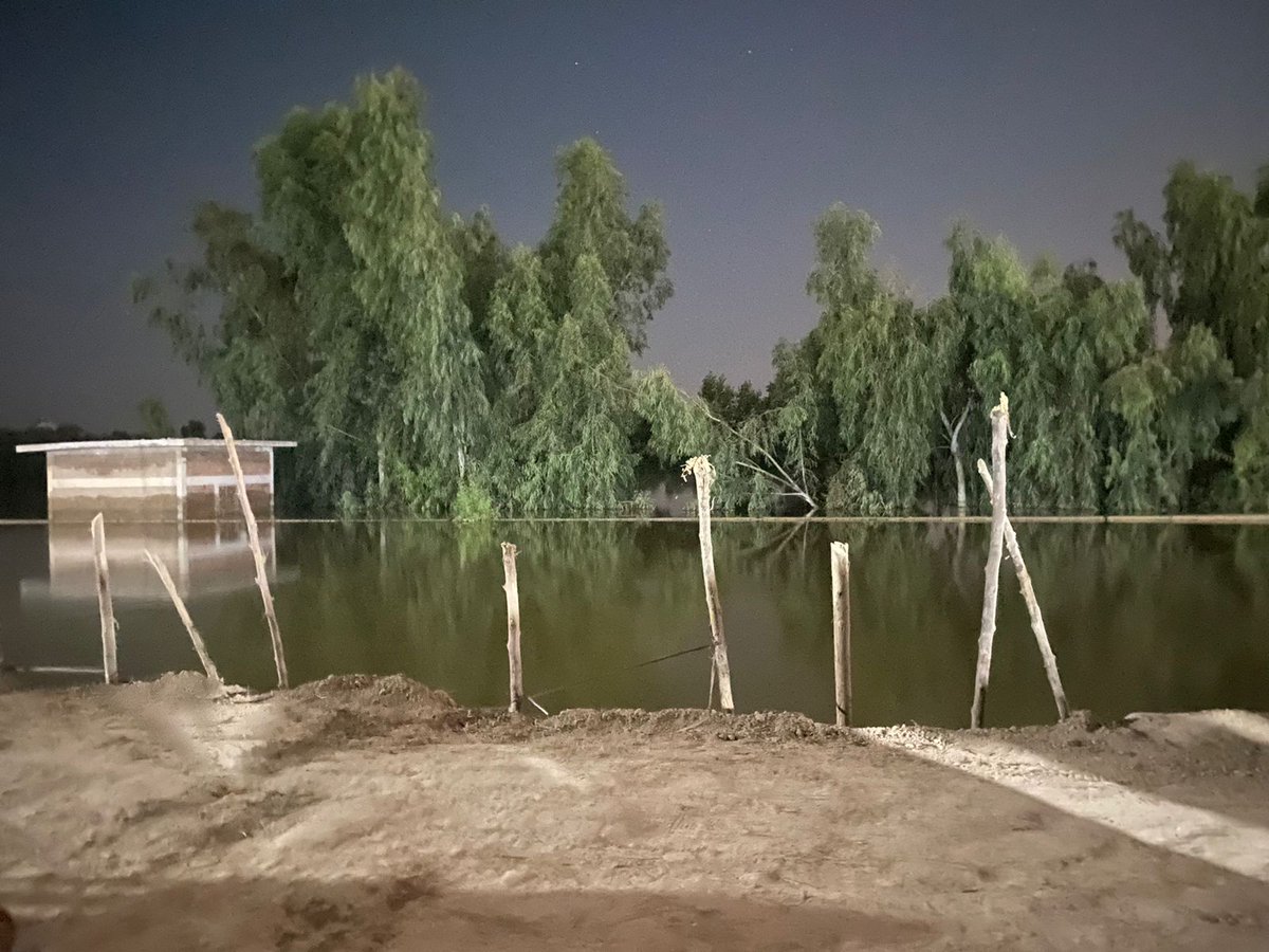 AlCkemistrist's tweet photo. سڀني سنڌ واسين کي اپيل آهي ته اسانجو آواز بڻجي اسانجو ساٿ ڏيو، اسان جوهي واسي ٻوڏ ۽ بيمارين سان وڙهي رهيا هئاسين ته هاڻي بجلي به بند ڪئي وئي آهي.
ٽوئيٽر تي هن ٽرينڊ ذريعي اسانجو آواز بڻجو.
#savejohi_restoreelectricity https://t.co/davluphvcP