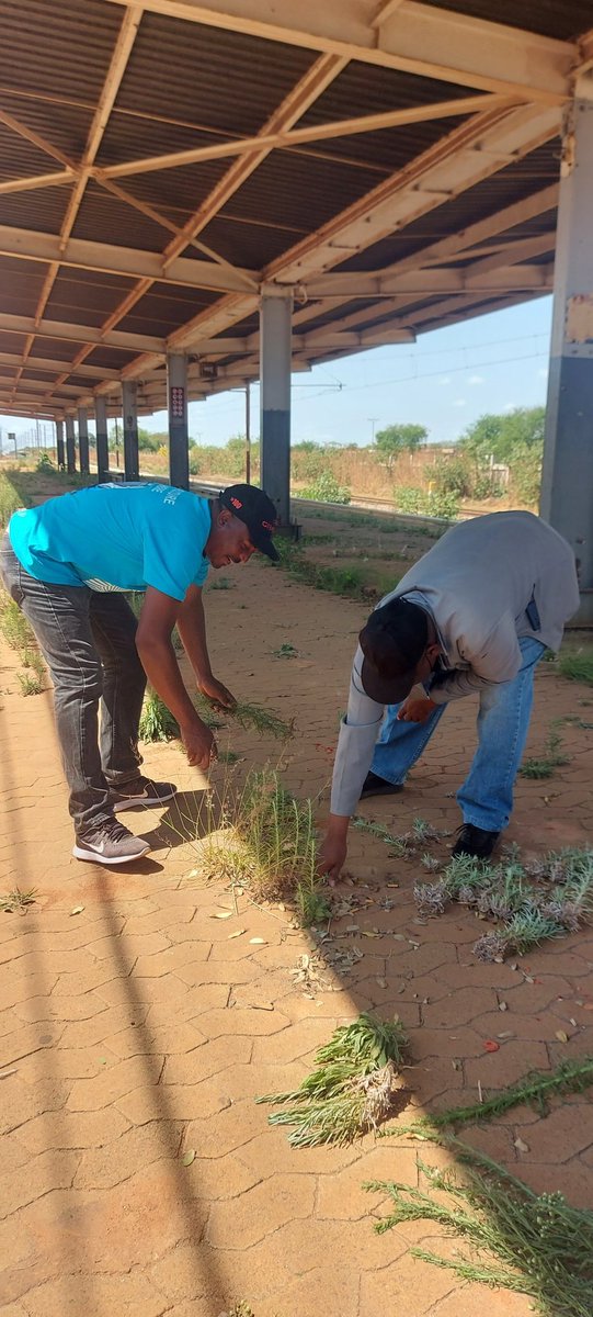 WMaeteletja's tweet photo. Metrorail Gauteng Employees along with community members cleaning Tailorshoop station.

#Adopt-a-station 
#ServiceResumption
#RebuildingRail

@metrorailgp https://t.co/TppJh0O2VL