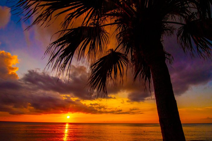 サンセットビーチのtwitterイラスト検索結果