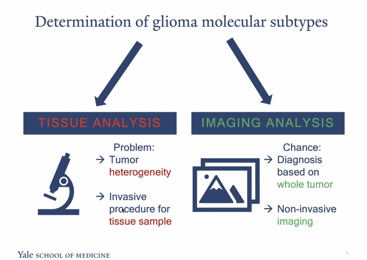 Mariam Aboian tweet media