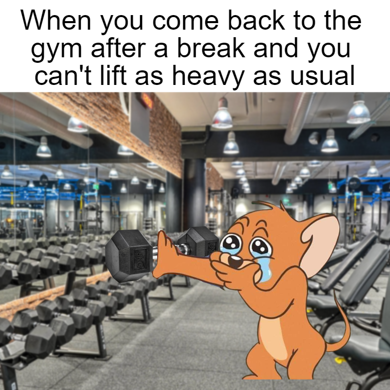 Home Gym Strength 💪🏋️‍♀️🏋️‍♂️🏋️ tweet media