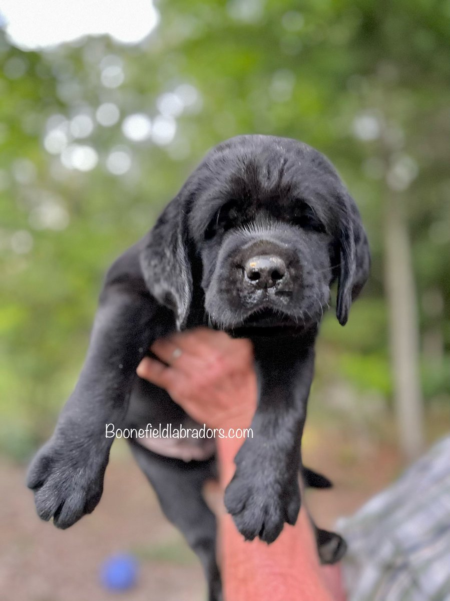 m.facebook.com/story.php?stor…