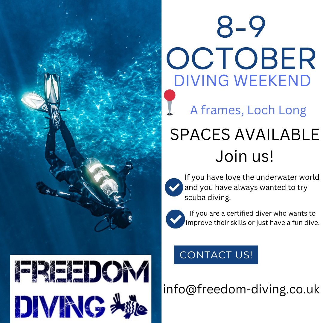 DivingFreedom's tweet photo. You are still on time to join us for a fun dive, to keep practicing your diving skills or to dive for the first time! https://t.co/QXi8H9B0pF