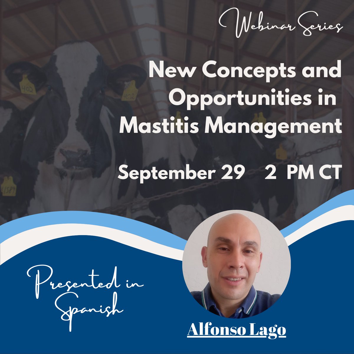 Join National Mastitis Council for its next webinar – presented in Spanish – on Sept. 29, starting at 2 p.m. Central time. 

Alfonso Lago is presenting “New Concepts and Opportunities in Mastitis Management”

Register for this free webinar today at: bit.ly/Sept29Lago