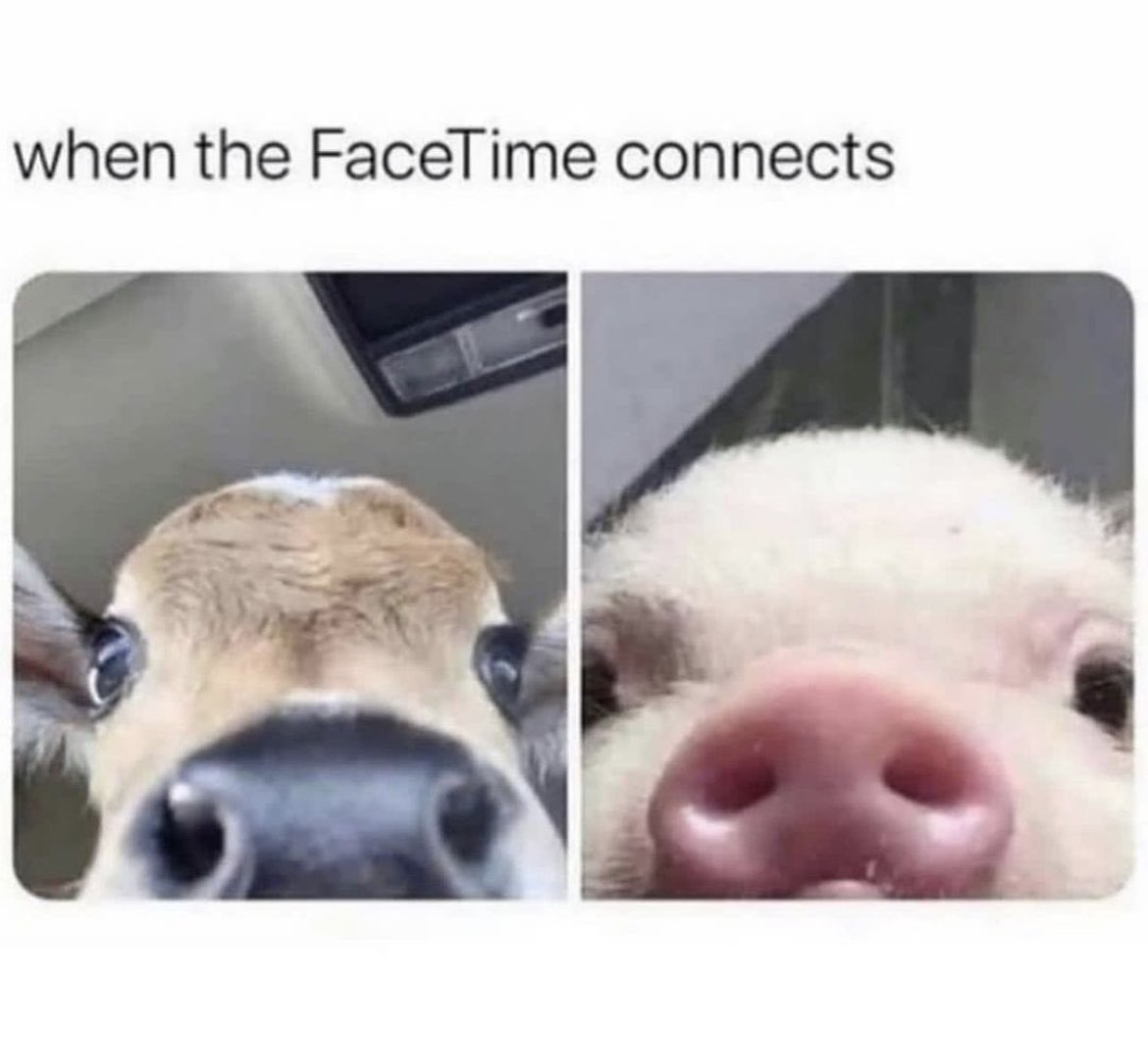 memeig_'s tweet photo. https://t.co/VRHsuTBEaQ