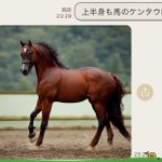 AIが出す画像がすごい!上半身も馬のケンタウロスがこちらw