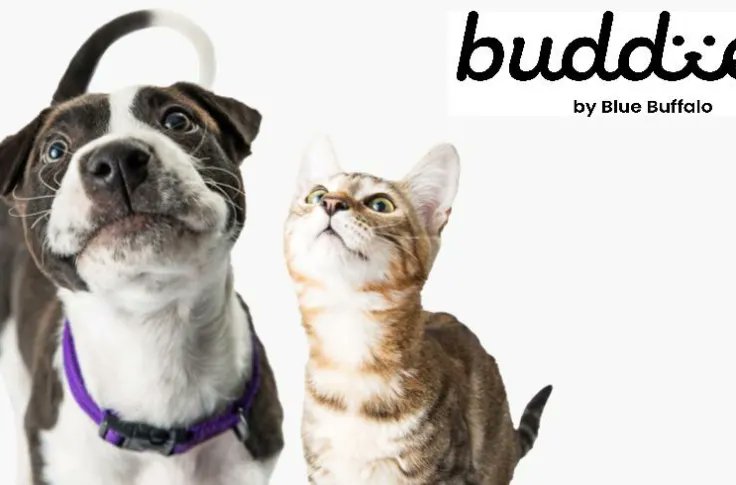 Good luck to our client <a href="/bluebuffalo/">blue buffalo</a> on their nomination for the customer loyalty strategy award for blue buddies with <a href="/Loyalty360/">Loyalty360</a> !

Winners will be announced next week.

loyalty360.org/loyalty360-eve…

#clients #strategy #loyalty #clutch #nomination