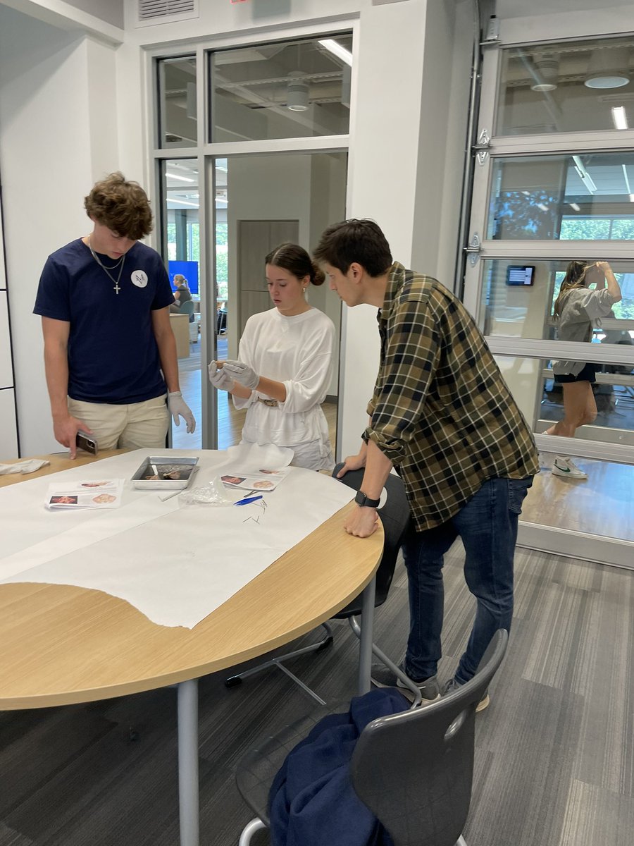 DrCowart's tweet photo. Disciplines? What disciplines? Lots of great photos from yesterday’s Anatomy- Psychology brain dissection colLABoration led by the amazing Mr. Hawkins! 
The first one has a real “90’s album cover” vibe. https://t.co/LlB0QZSXqO
