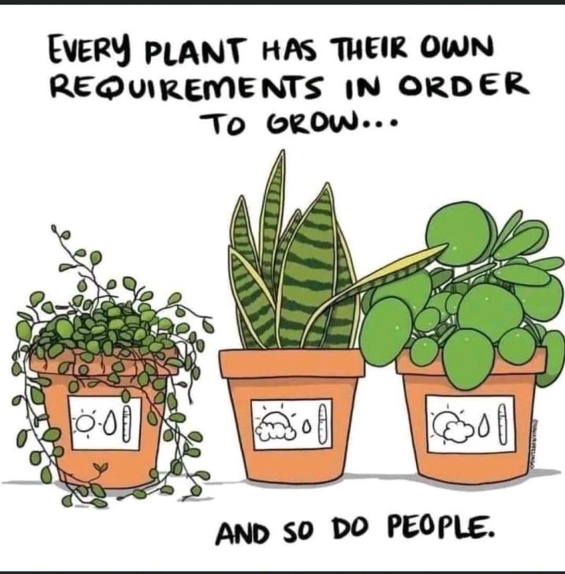 GoodwillCinci's tweet photo. #InclusionMatters
DSP's curate the appropriate conditions with the unique abilities of each individual to create an environment that promotes personal growth.
Thank you!
https://t.co/1XvSFfsVJ9
#DirectSupportProfessionalsWeek #DisabilityInclusion #Employment #Success https://t.co/JFPooCfekT