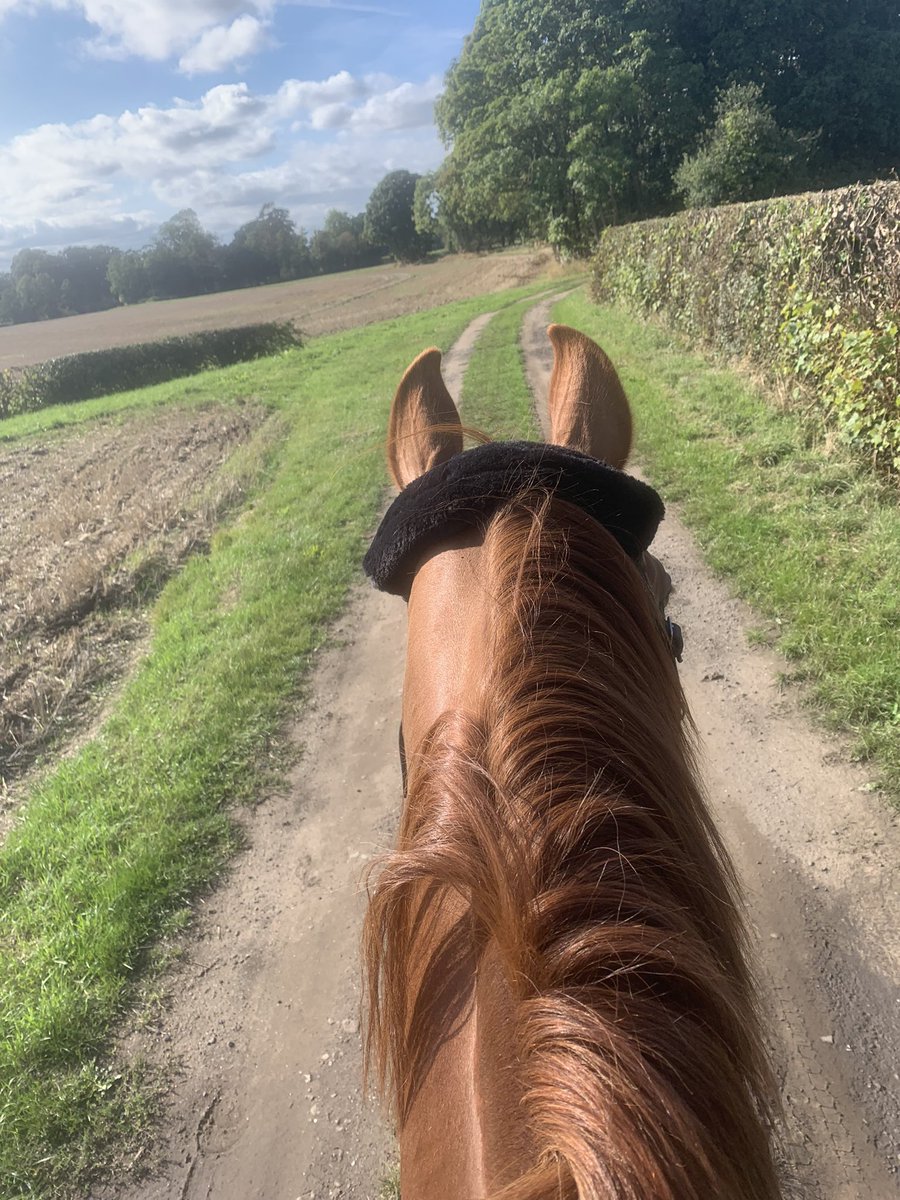 The worlds best therapy 👌💫❤️