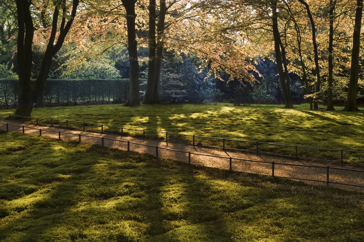 Dunham Massey will be closed all day on 19 September for Her Majesty The Queen's funeral. We look forward to welcoming you another day.