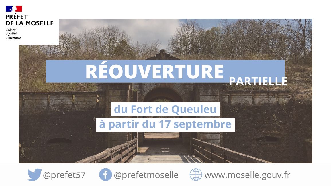 Prefet57's tweet photo. #FortQueuleu 🌳 | Fragilisés par des conditions climatiques extrêmes et par des maladies, les boisements du Fort de Queuleu ont fait l’objet de travaux forestiers majeurs permettant une réouverture partielle du site à compter du 17 septembre à 13h.
👉 https://t.co/mtS22cyV59 https://t.co/QV57KLheIg