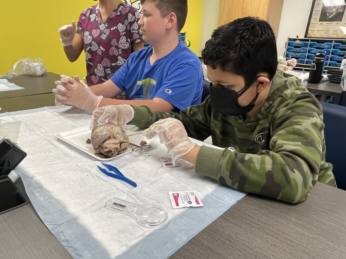 BCPSAdvancedLearning tweet media