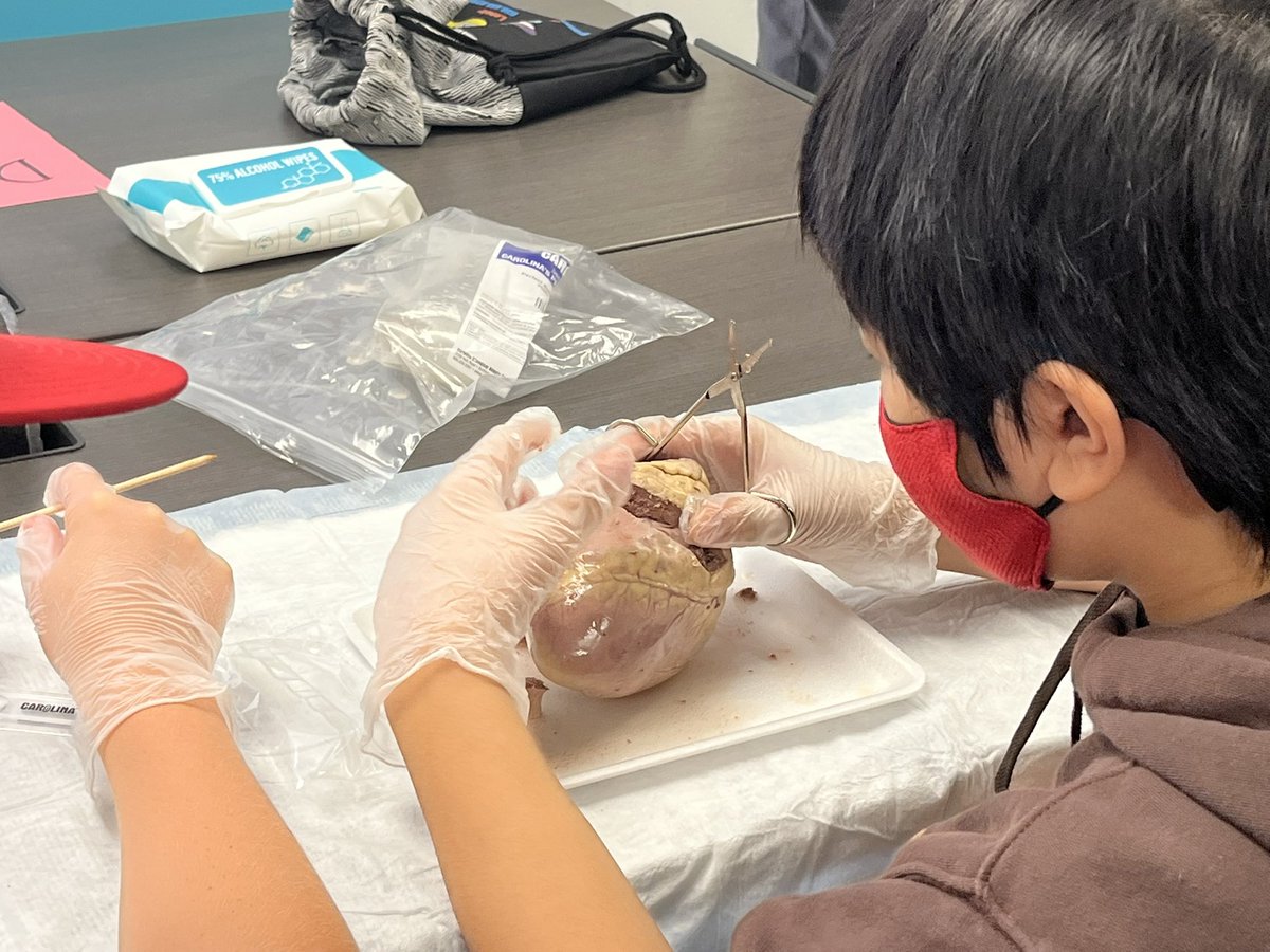 BCPSAdvancedLearning tweet media