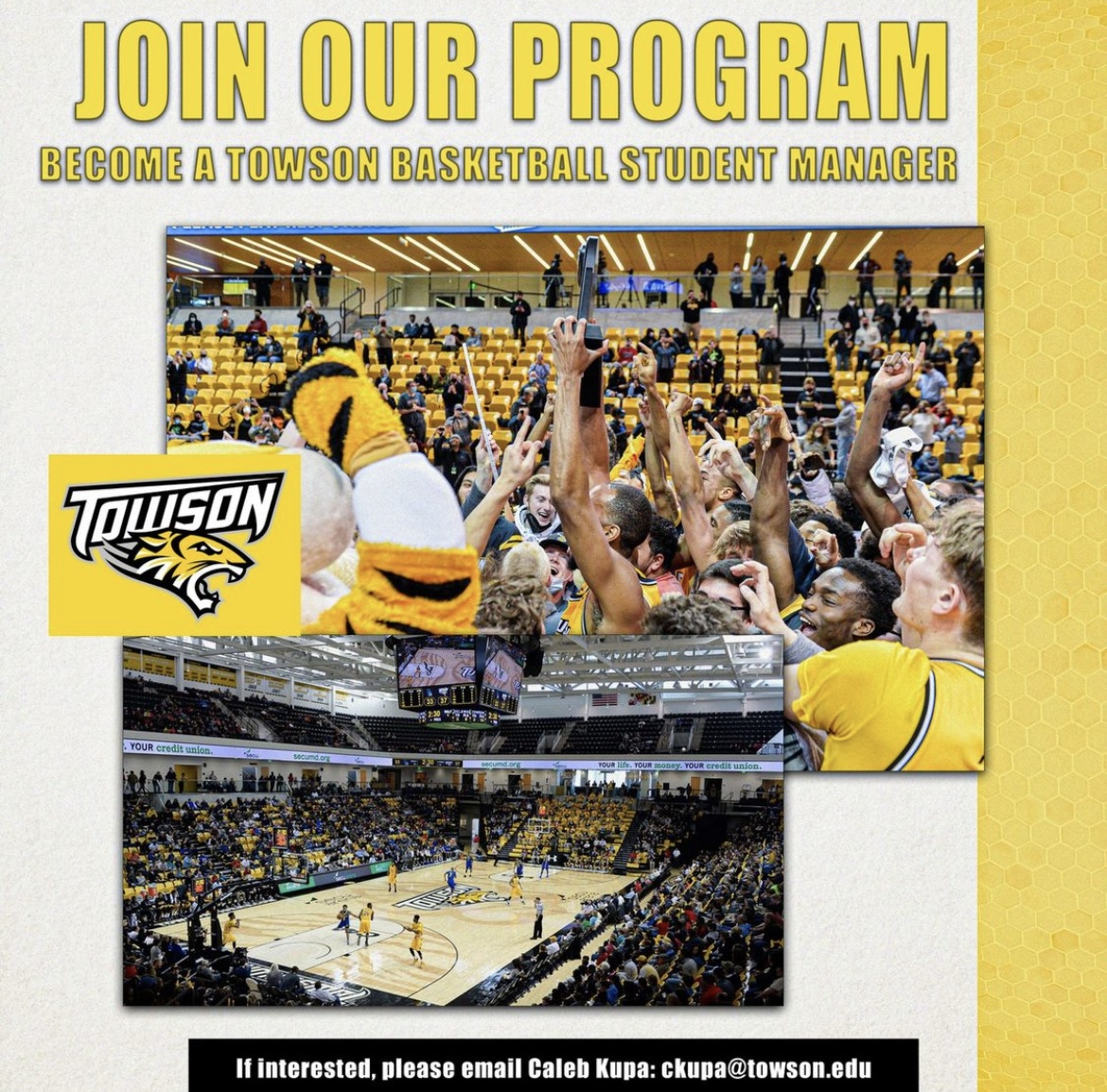 We are looking for student managers for the upcoming season! Interested students should contact Caleb Kupa at ckupa@towson.edu for more information #GohTigers | #UnitedWeRoar