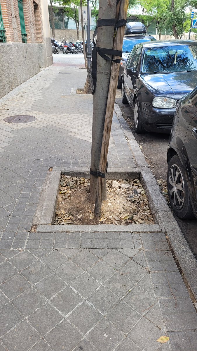 Vane tweet media