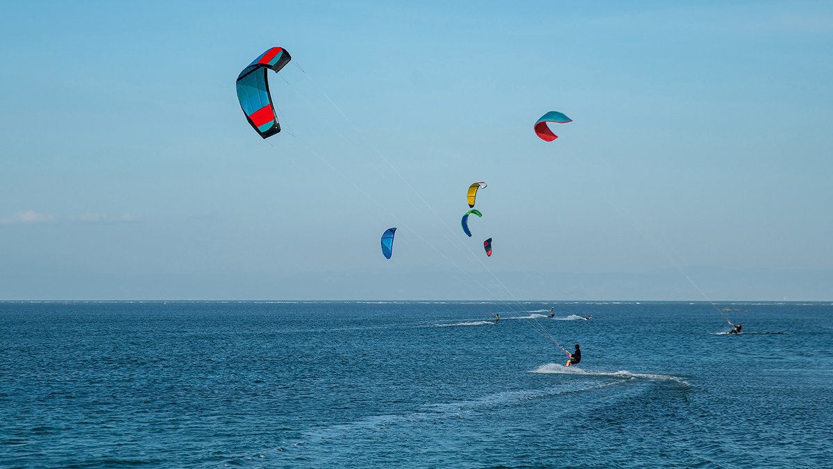 EO NERVE tweet media