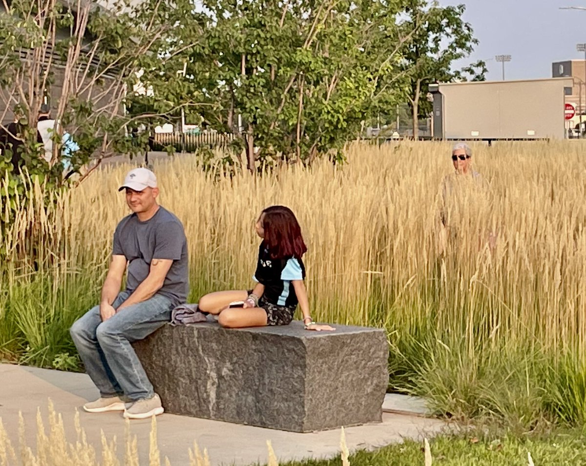 Dan Ness tweet media