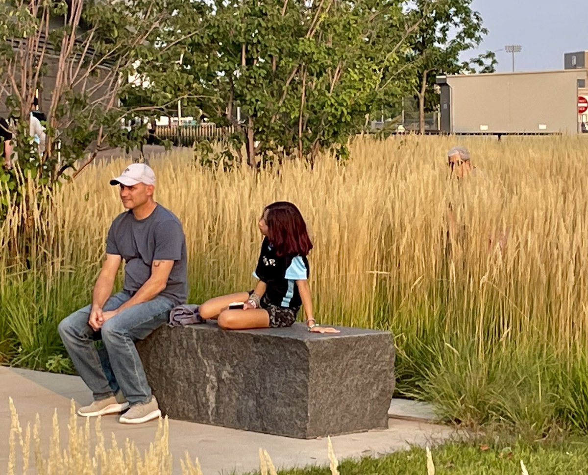 Dan Ness tweet media